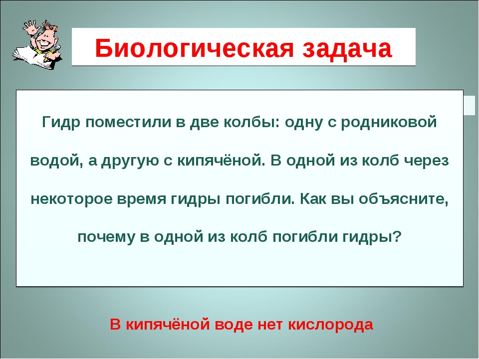 Кракен сайт krk store com