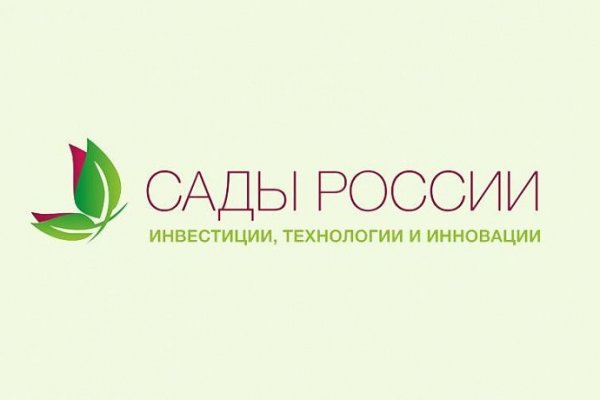 Кракен упал